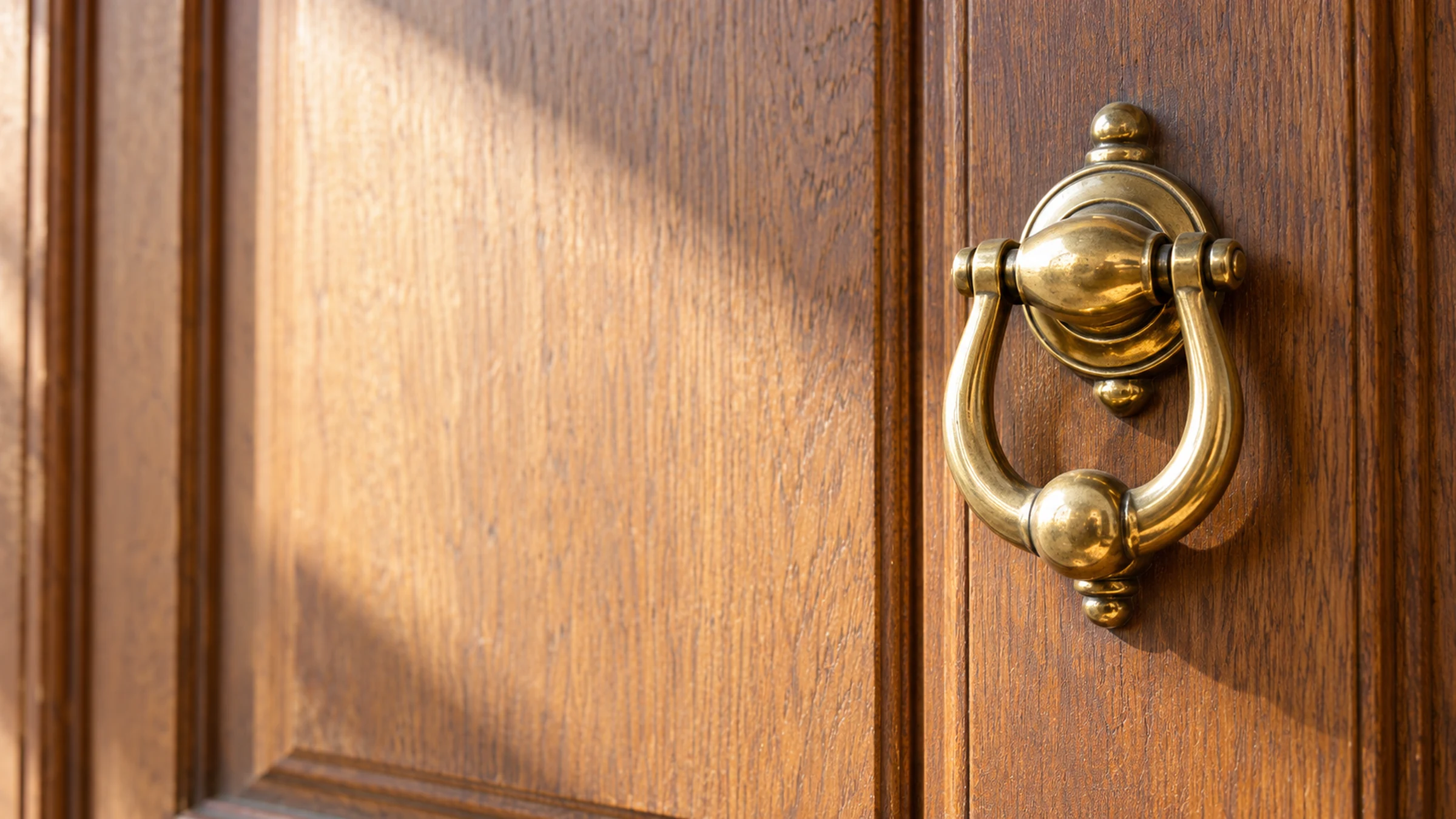 A brass door knocker on a wooden door, with no hand.